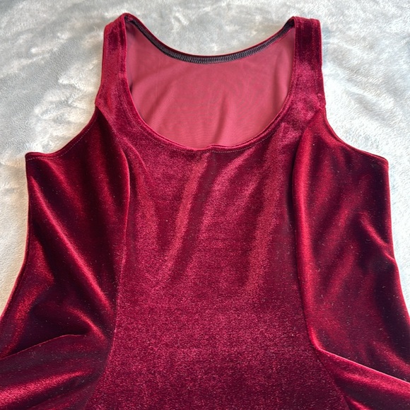 NWOT Blackmilk Velvet Mulled Wine Evil Skater Dress Size Medium-Large - Picture 6 of 15